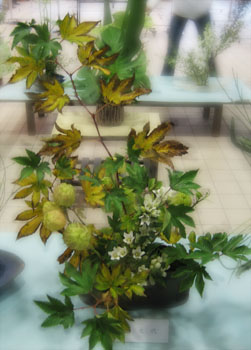 f0009457_2384338.jpg