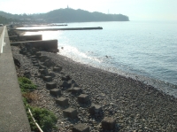 c0108460_17291563.jpg