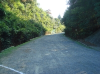 c0108460_17295973.jpg