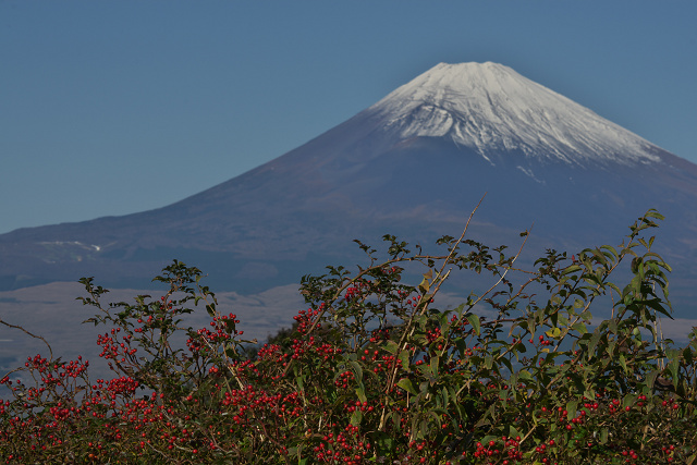 芦ノ湖スカイライン（１０月２８日）_c0057265_19332230.jpg