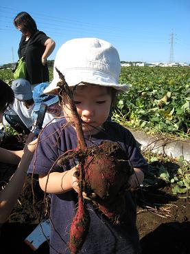 この子たちの為にも、、、~いも堀に想う~_a0107574_1741018.jpg