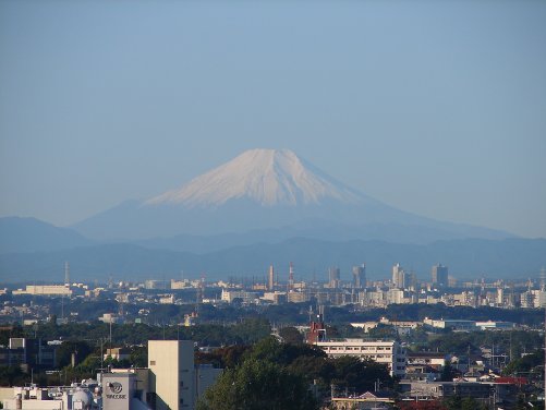 Ｎｏ．0245　東松山・正法寺の大イチョウ_f0104277_7283656.jpg