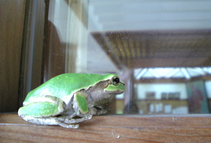 f0121480_22212233.jpg