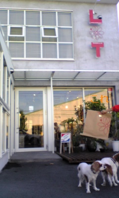 e0121583_18102054.jpg
