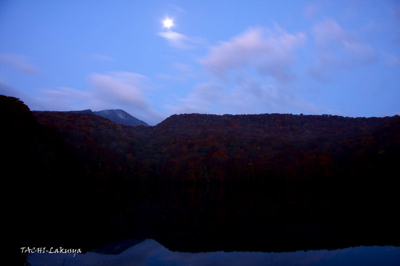 蔦沼の紅葉を撮る Ⅰ_d0027893_20141129.jpg