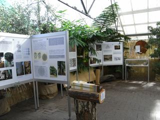 シュトュットガルトの動物園植物園_a0079995_6383461.jpg