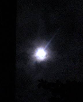 b0054498_3252579.jpg