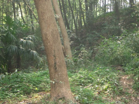d0090300_20494270.jpg