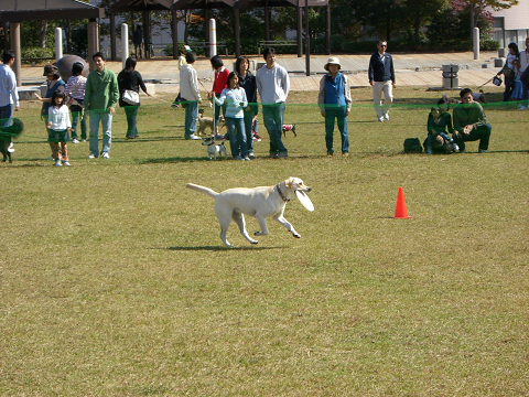 d0091700_005336.jpg