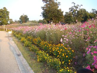 満濃公園　秋まつり_a0020601_22475559.jpg