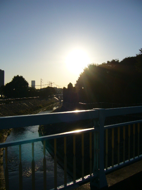 d0070702_8474035.jpg