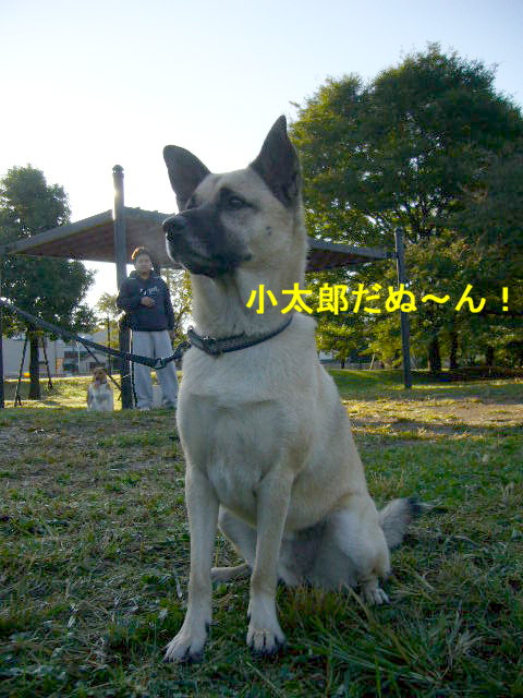 d0070702_8511012.jpg