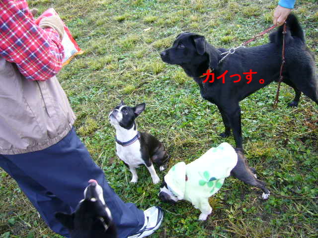 d0070702_912884.jpg