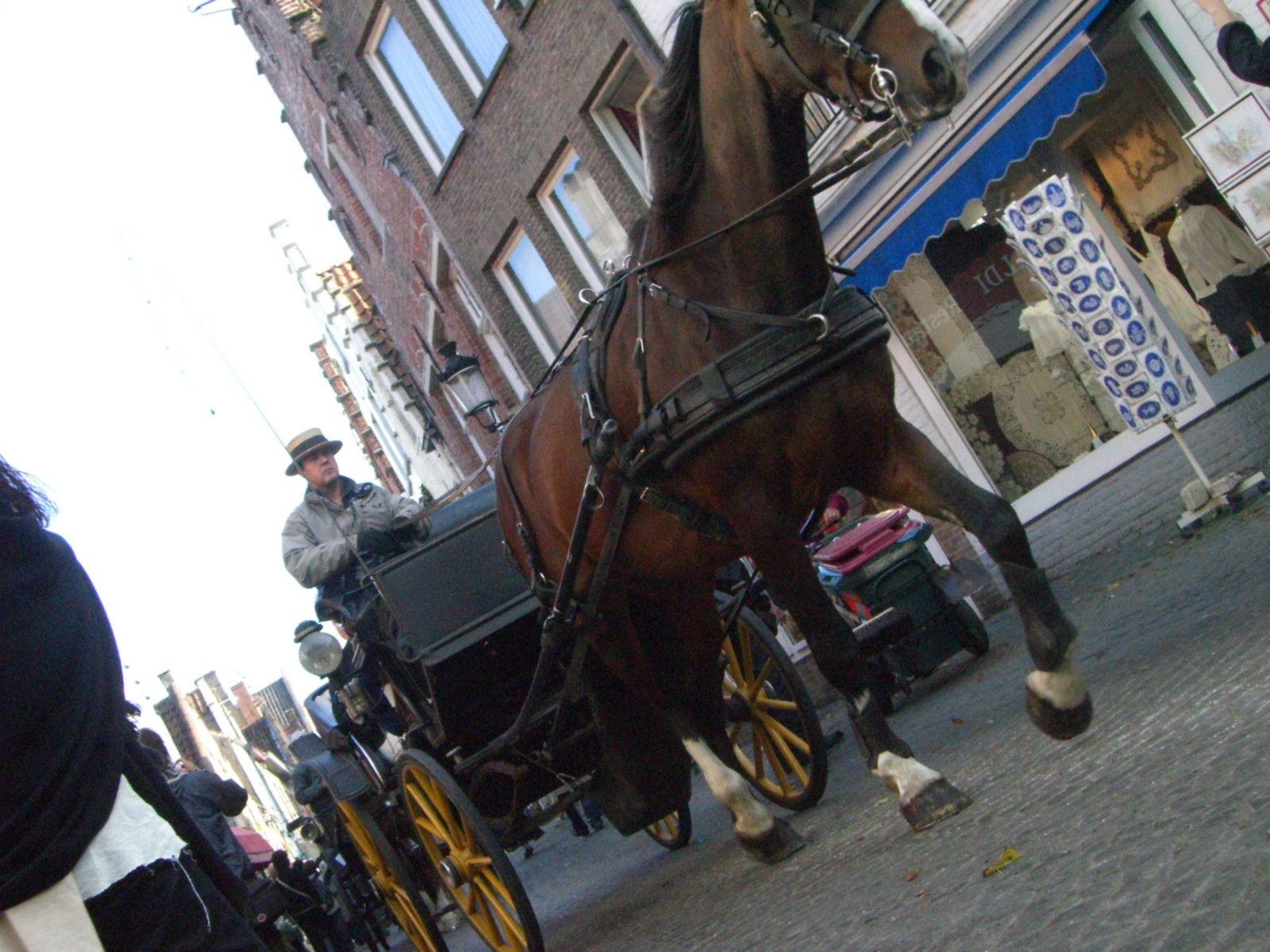e0041902_15485763.jpg