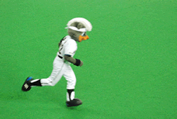 e0126914_2046272.gif