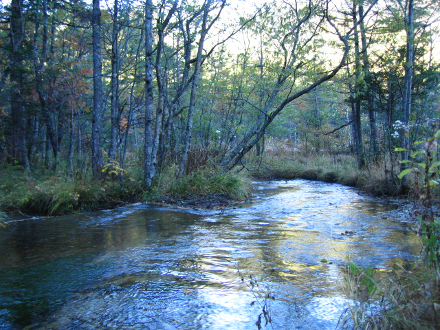b0093515_72329.jpg