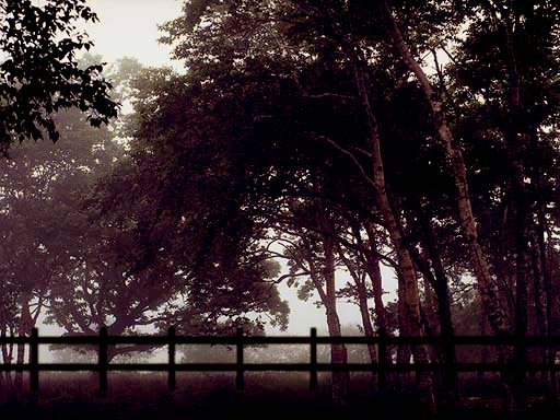 c0083518_19323780.jpg
