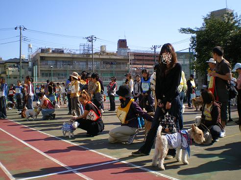 犬の運動会＠文京区！！！！！_e0019225_245519.jpg