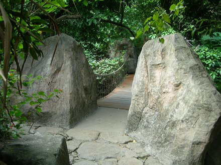 深センめぐり【32】　梧桐山煙雲への道(2)　泰山澗歩道_b0075737_0241284.jpg