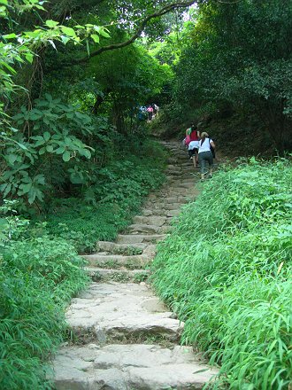 深センめぐり【32】　梧桐山煙雲への道(2)　泰山澗歩道_b0075737_0443878.jpg