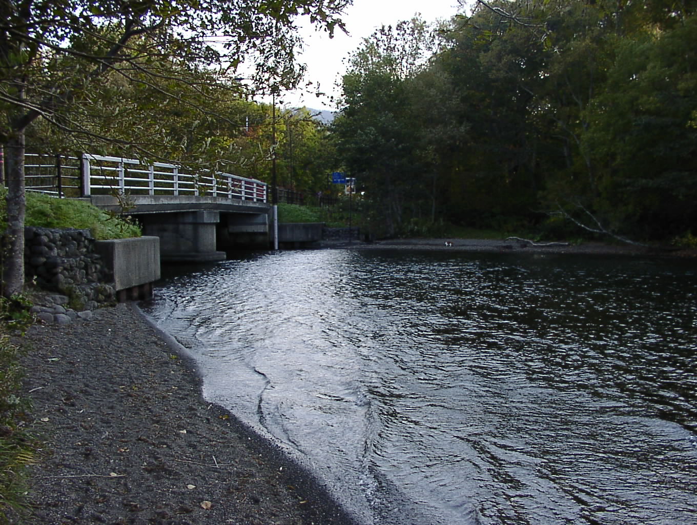 釧路川源流　　10月２９日_f0113639_2317181.jpg