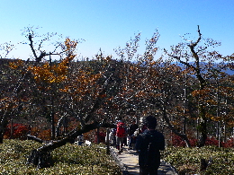 大台ヶ原をトレッキング （２）　～ 日出ヶ岳からの眺望 ～_e0111346_6483451.jpg