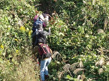 d0048350_1556222.jpg