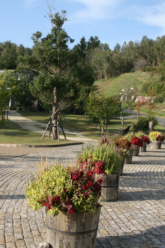 d0013455_17542065.jpg