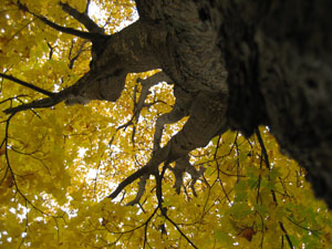 f0009457_043415.jpg