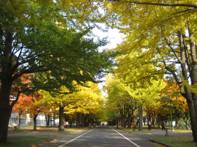 f0009457_114204.jpg