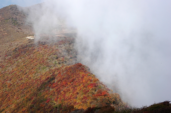 ２００７年秋のドタバタ九重詣で　～紅葉の大船山～（⑤　紅葉の山頂編）_e0013365_8135857.jpg