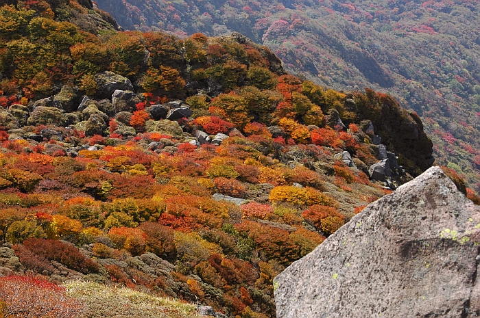 ２００７年秋のドタバタ九重詣で　～紅葉の大船山～（⑤　紅葉の山頂編）_e0013365_815822.jpg