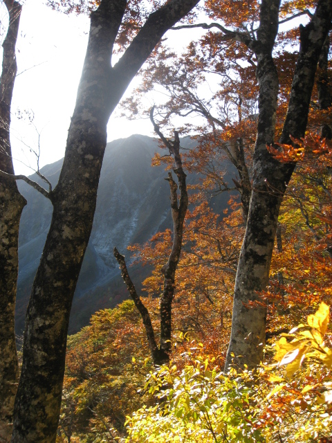 紅葉の大山２_f0016066_16421726.jpg