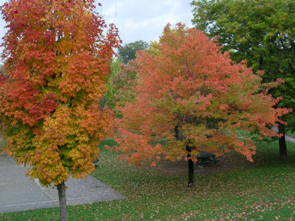 f0140170_852656.jpg