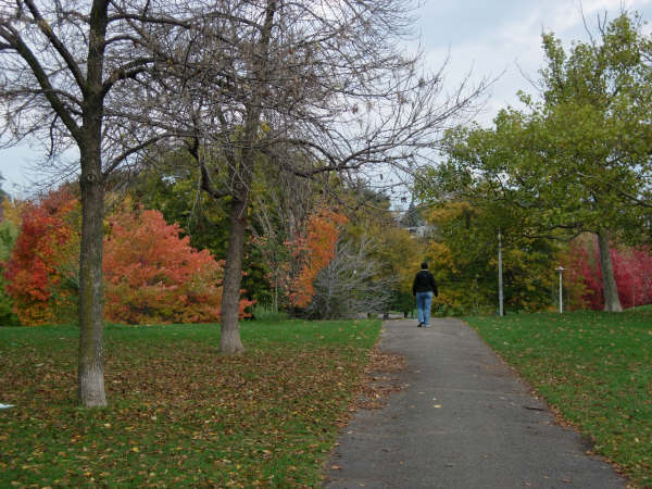f0140170_9335970.jpg