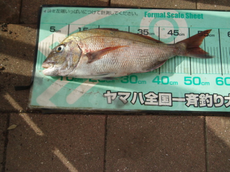 つばき秋季釣り大会_a0077071_1026562.jpg