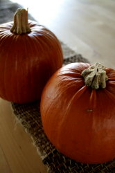 PUMPKINS!_f0016271_949799.jpg