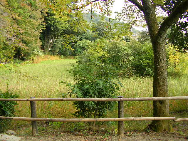e0086378_23421690.jpg