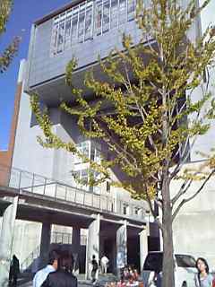 a0095980_17113885.jpg