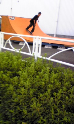 e0121583_173274.jpg