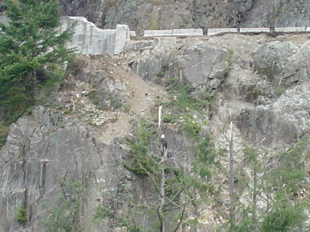 f0129786_63465.jpg
