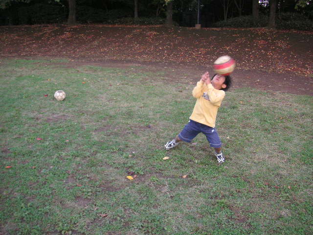 d0116891_2004156.jpg