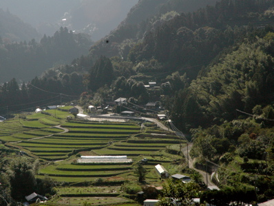 国民文化祭 in Tokushima_f0135295_861399.jpg