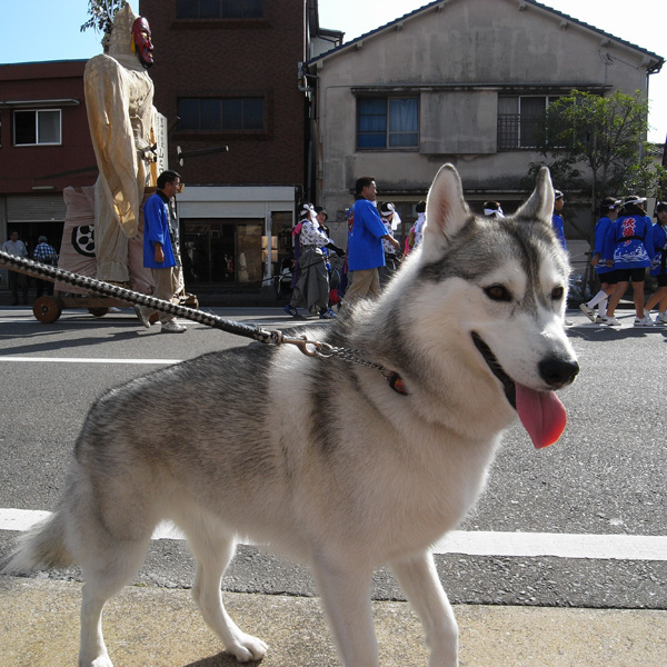行列だ~♪_c0049299_21314840.jpg