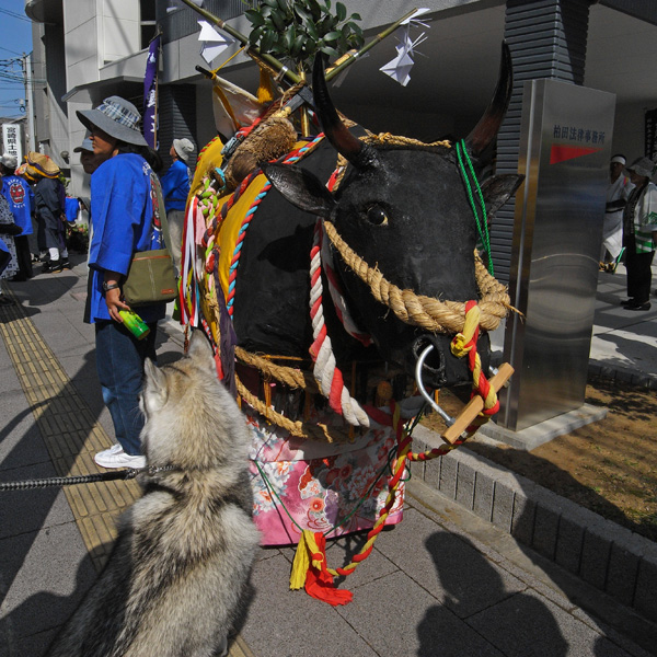 行列だ~♪_c0049299_21415229.jpg