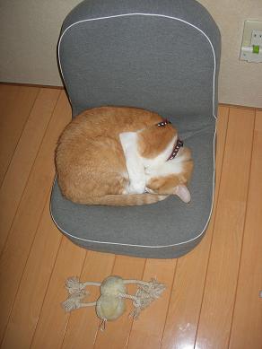 c0011501_12375862.jpg