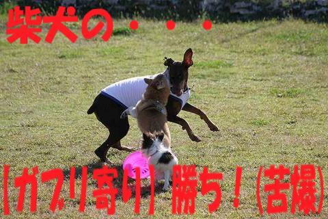 e0100007_11123742.jpg