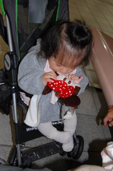 a0105010_165534.jpg