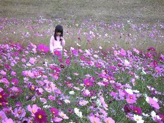 c0032212_2365990.jpg