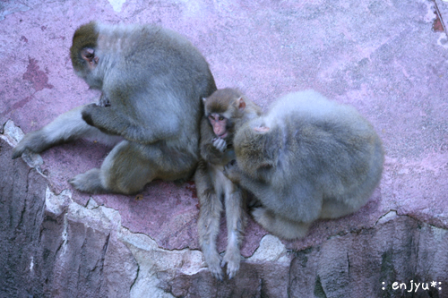 c0123612_18349.jpg